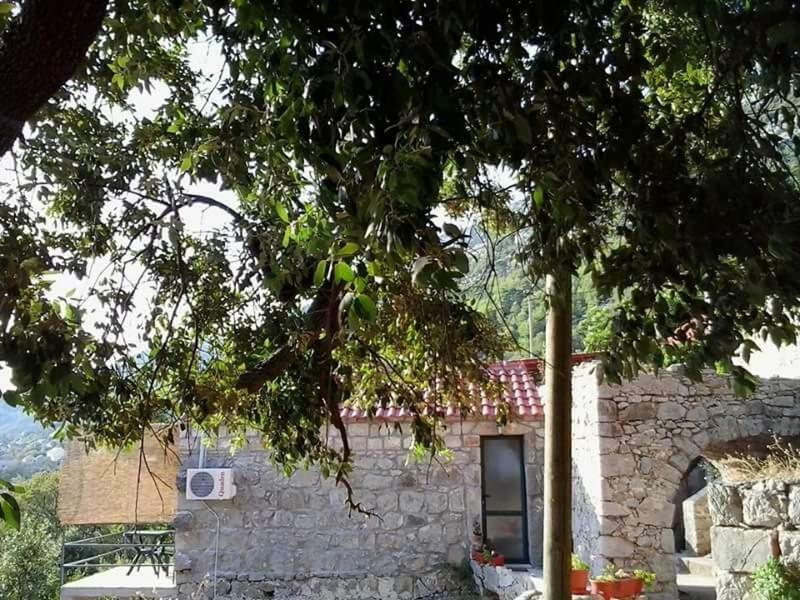 Cottage Melita The Apartment For Animal Lovers Babino Polje Екстериор снимка