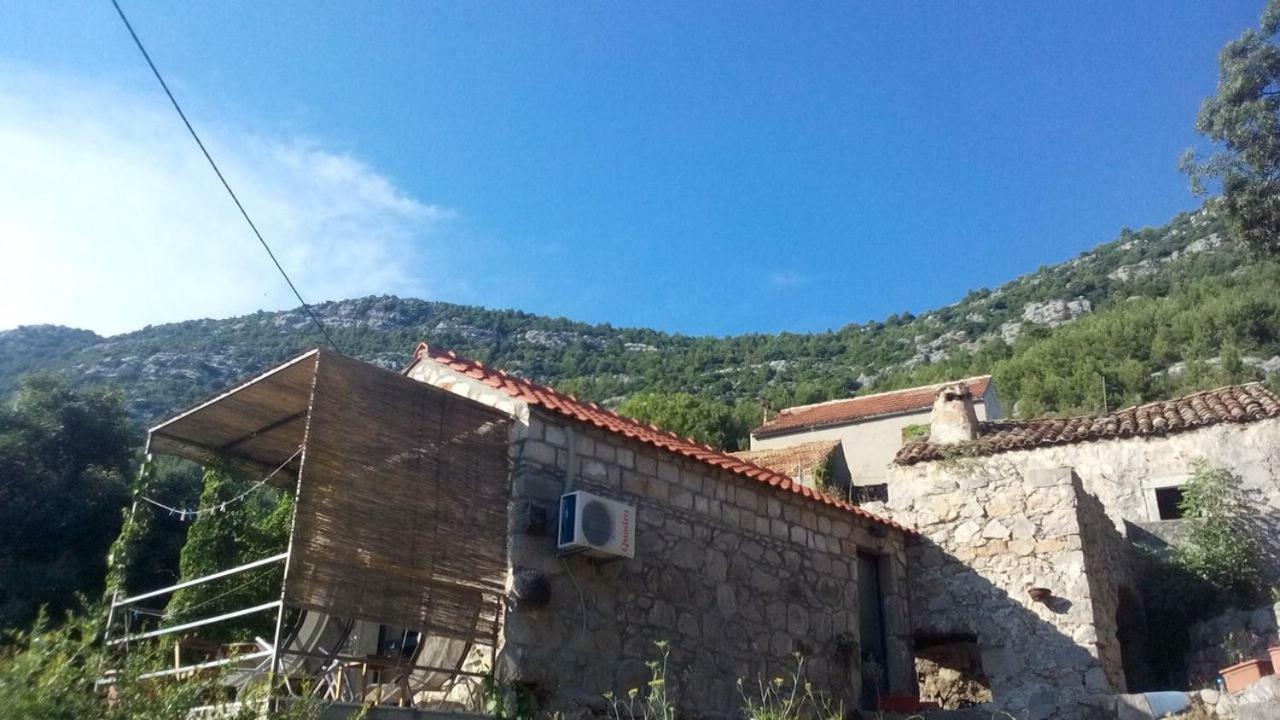 Cottage Melita The Apartment For Animal Lovers Babino Polje Екстериор снимка