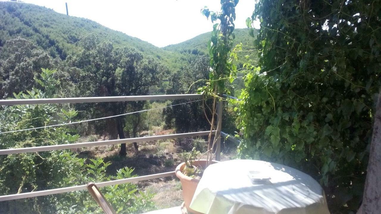 Cottage Melita The Apartment For Animal Lovers Babino Polje Екстериор снимка