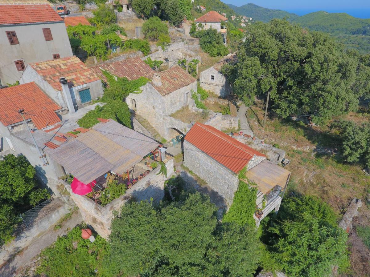 Cottage Melita The Apartment For Animal Lovers Babino Polje Екстериор снимка