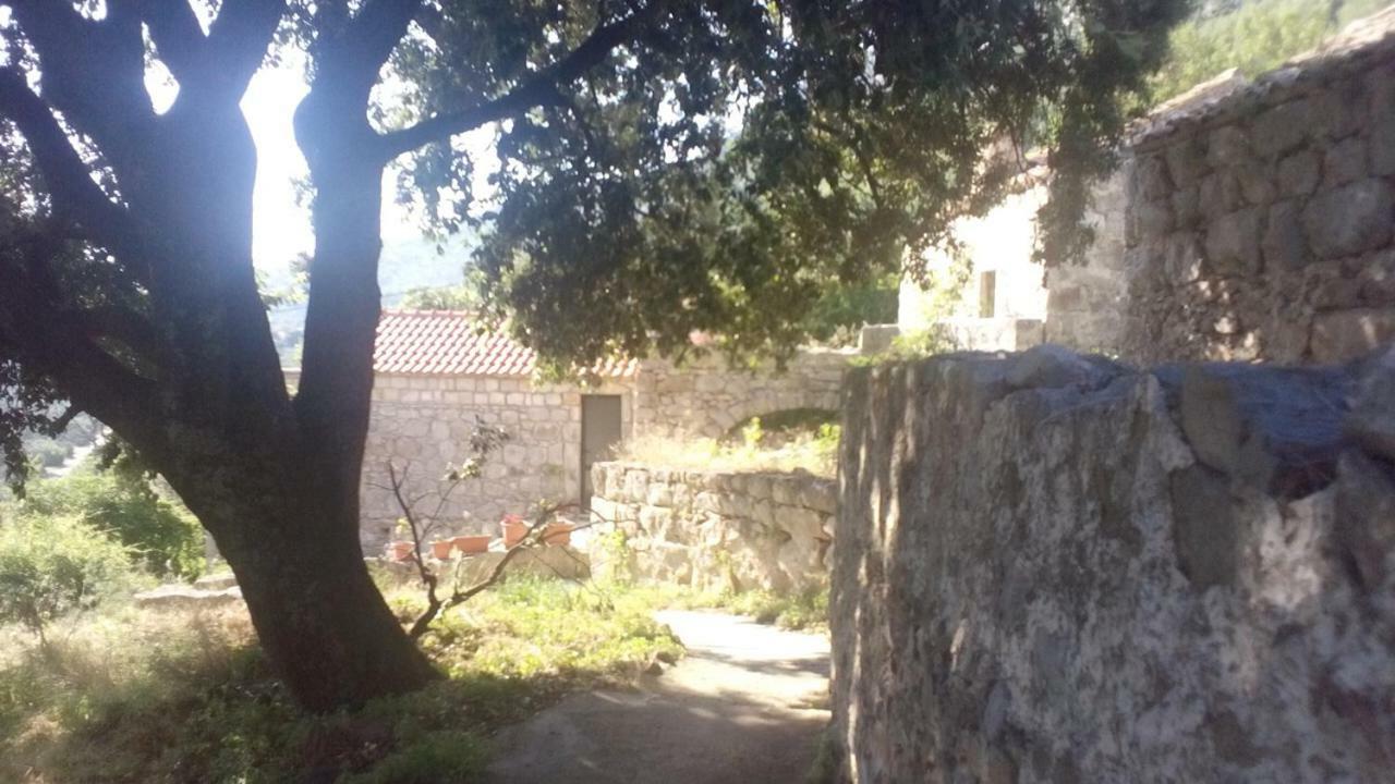 Cottage Melita The Apartment For Animal Lovers Babino Polje Екстериор снимка