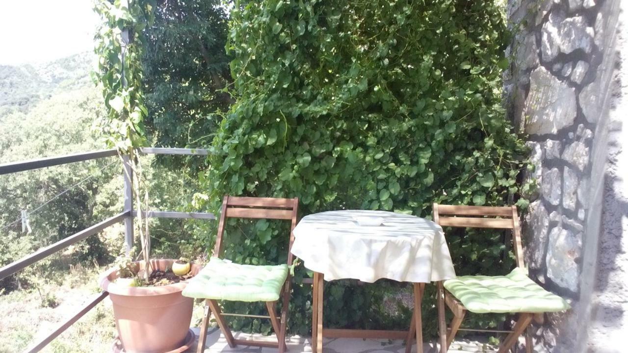 Cottage Melita The Apartment For Animal Lovers Babino Polje Екстериор снимка