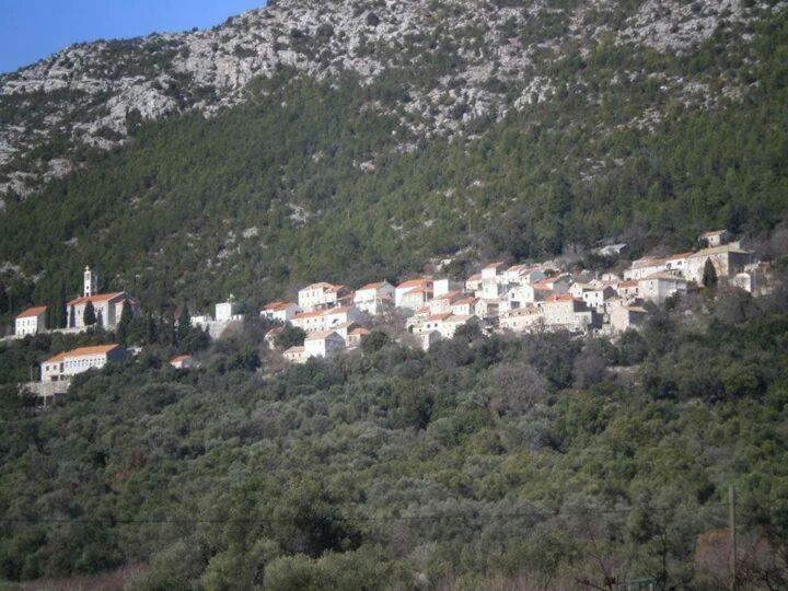 Cottage Melita The Apartment For Animal Lovers Babino Polje Екстериор снимка