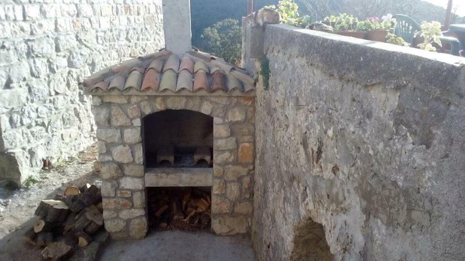 Cottage Melita The Apartment For Animal Lovers Babino Polje Екстериор снимка