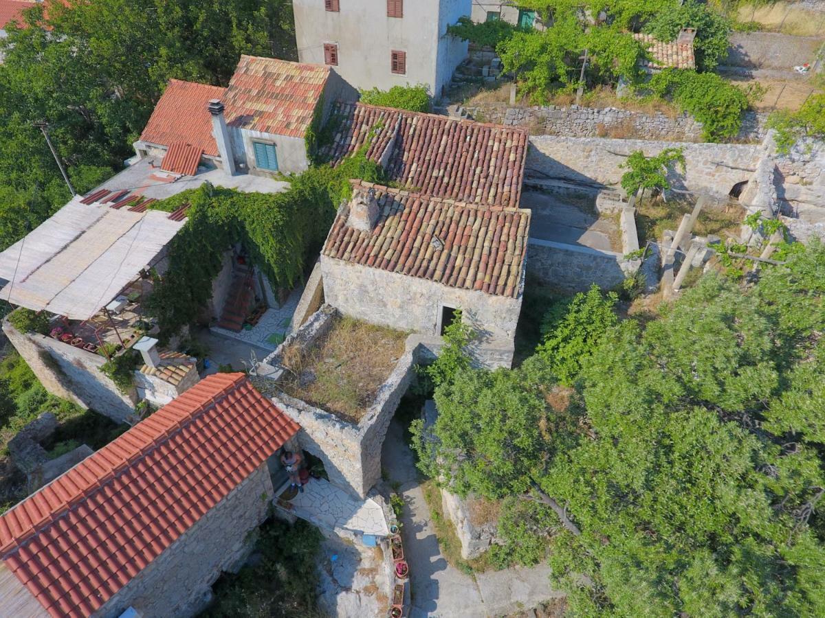 Cottage Melita The Apartment For Animal Lovers Babino Polje Екстериор снимка