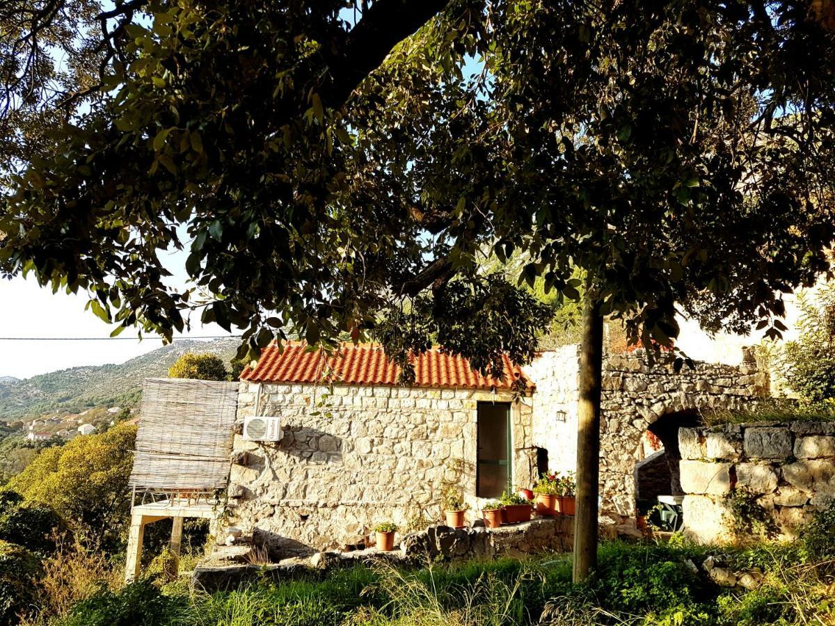 Cottage Melita The Apartment For Animal Lovers Babino Polje Екстериор снимка
